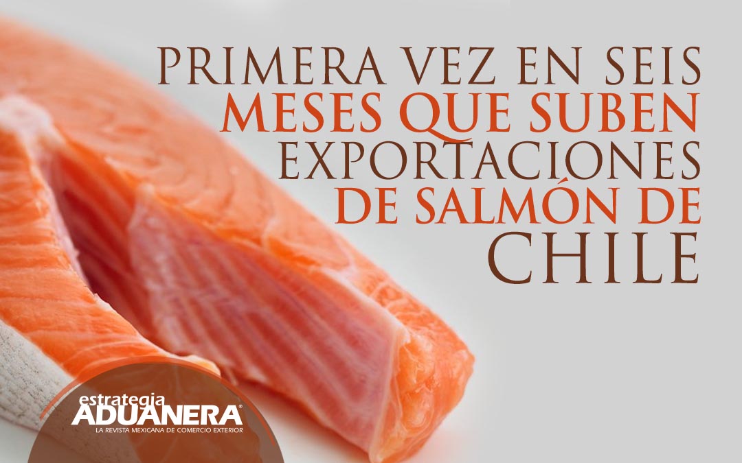 Primera vez en seis meses que suben exportaciones de salmón de Chile Estrategia Aduanera